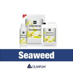 Olivera Seaweed