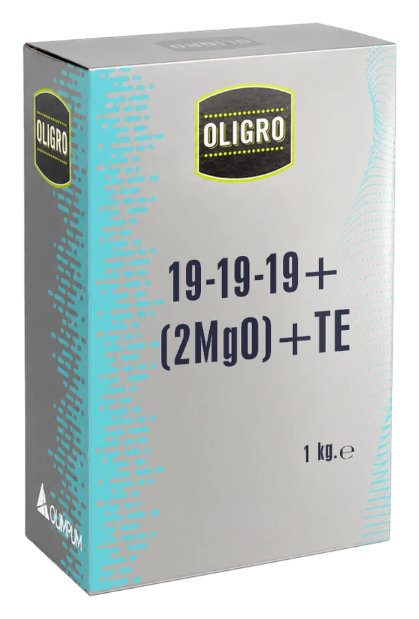 19-19-19+(2MgO)+TE 1 kg box