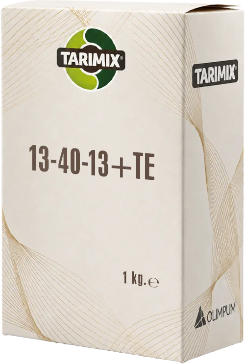 13-40-13 +TE 1 kg box