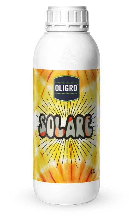 Solare 1 L