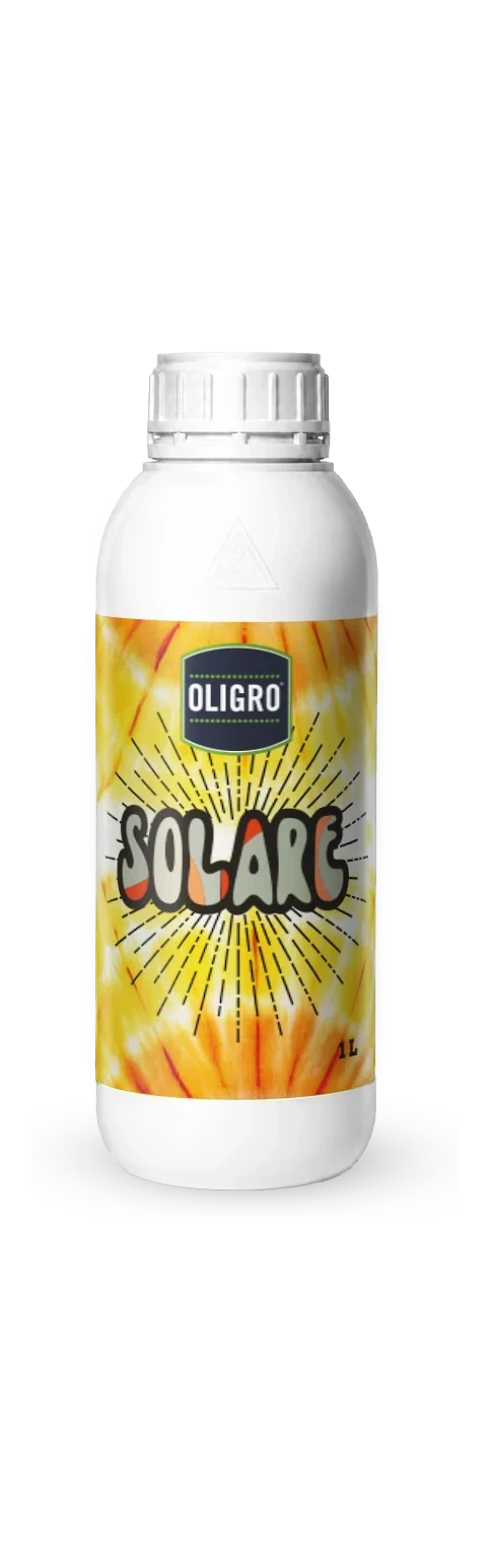 Solare 1 L