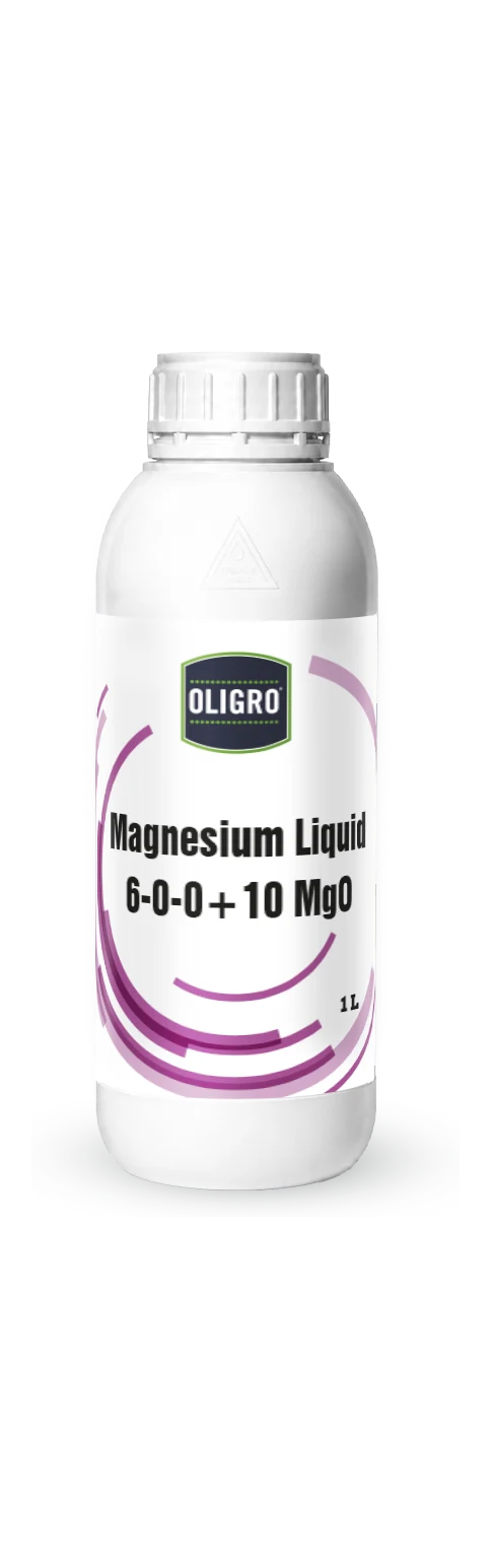 Oligro Magnesium Liquid 1 L bottle